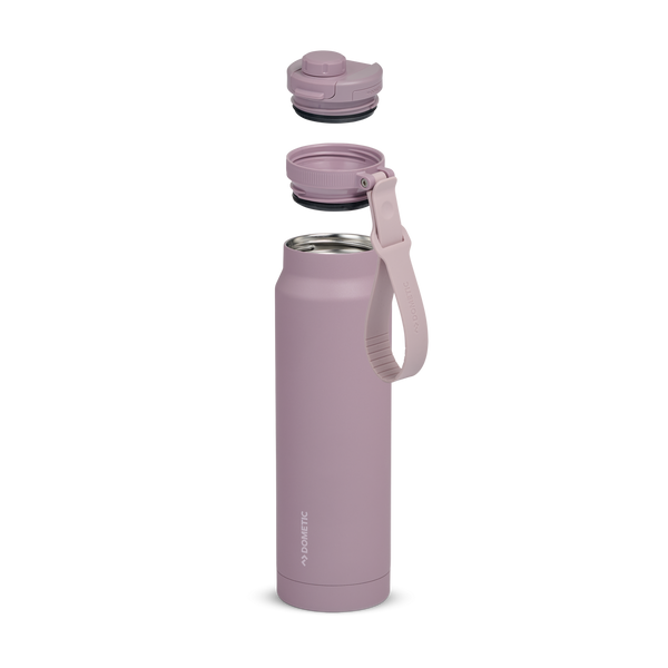 Elderberry