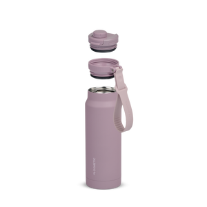 Elderberry