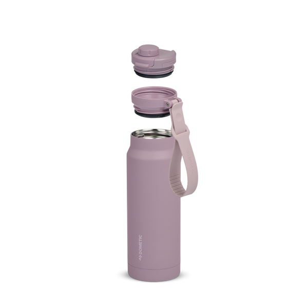 Elderberry