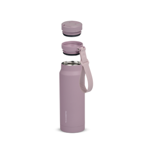 Elderberry