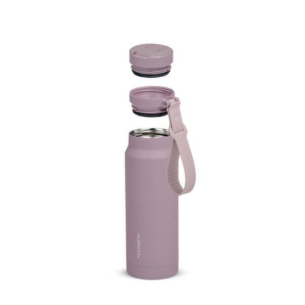 Elderberry