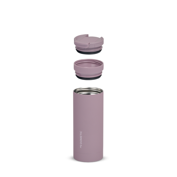 Elderberry