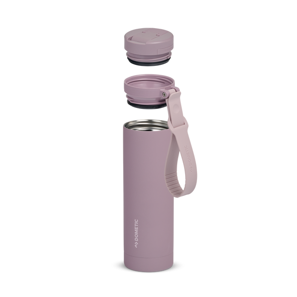 Elderberry