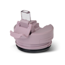Elderberry