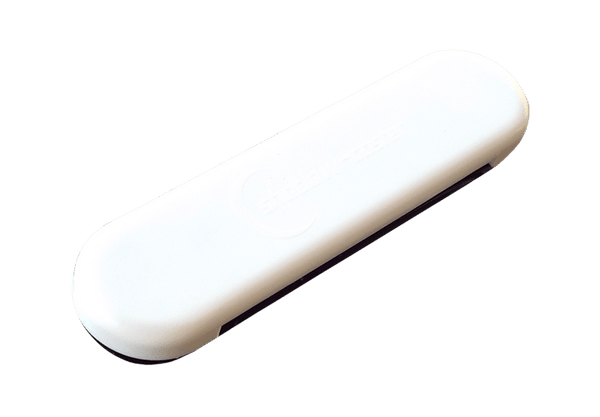 Courtesy light product art